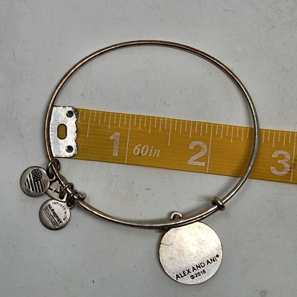 ALEX and ANI Las Vegas Bangle Bracelet Silver Tone - Picture 6 of 6